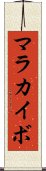 マラカイボ Scroll