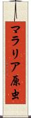 マラリア原虫 Scroll