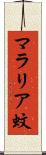 マラリア蚊 Scroll
