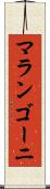 マランゴーニ Scroll
