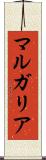 マルガリア Scroll