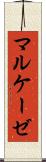 マルケーゼ Scroll