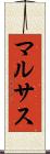 マルサス Scroll