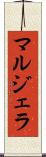 マルジェラ Scroll