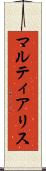 マルティアリス Scroll