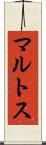 マルトス Scroll
