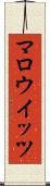 マロウイッツ Scroll