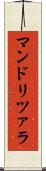マンドリツァラ Scroll
