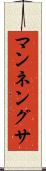 マンネングサ Scroll