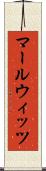 マールウィッツ Scroll