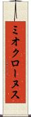 ミオクローヌス Scroll