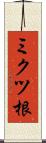 ミクツ根 Scroll