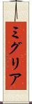 ミグリア Scroll