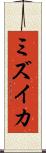 ミズイカ Scroll