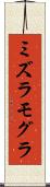 ミズラモグラ Scroll