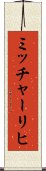 ミッチャーリヒ Scroll
