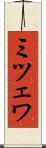 ミツェワ Scroll