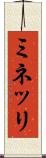 ミネッリ Scroll