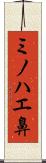 ミノハエ鼻 Scroll
