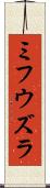 ミフウズラ Scroll