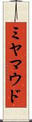 ミヤマウド Scroll