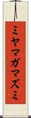 ミヤマガマズミ Scroll