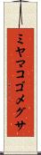 ミヤマコゴメグサ Scroll
