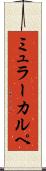 ミュラーカルペ Scroll