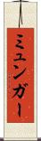 ミュンガー Scroll