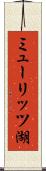 ミューリッツ湖 Scroll