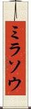 ミラソウ Scroll