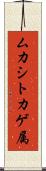 ムカシトカゲ属 Scroll