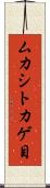 ムカシトカゲ目 Scroll