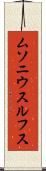 ムソニウスルフス Scroll