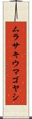 ムラサキウマゴヤシ Scroll