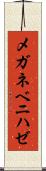 メガネベニハゼ Scroll