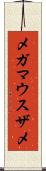 メガマウスザメ Scroll