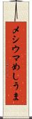 メシウマ Scroll