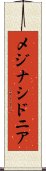 メジナシドニア Scroll