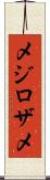 メジロザメ Scroll