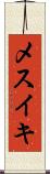メスイキ Scroll