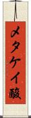 メタケイ酸 Scroll
