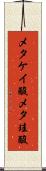 メタケイ酸 Scroll