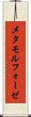 メタモルフォーゼ Scroll