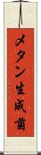 メタン生成菌 Scroll