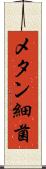 メタン細菌 Scroll