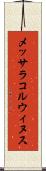 メッサラコルウィヌス Scroll