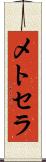 メトセラ Scroll