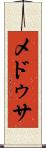 メドゥサ Scroll