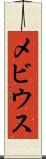 メビウス Scroll